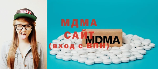 индика Медногорск