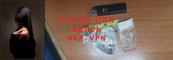 индика Медногорск