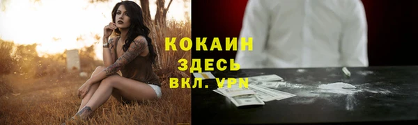 тгк Абинск
