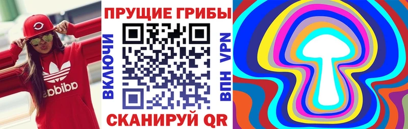 где купить наркоту  darknet официальный сайт  Галлюциногенные грибы Psilocybe  Новое Девяткино 