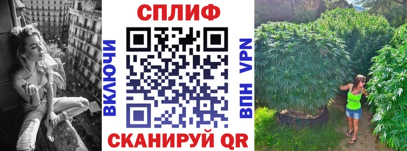 Канабис сатива  Новое Девяткино 